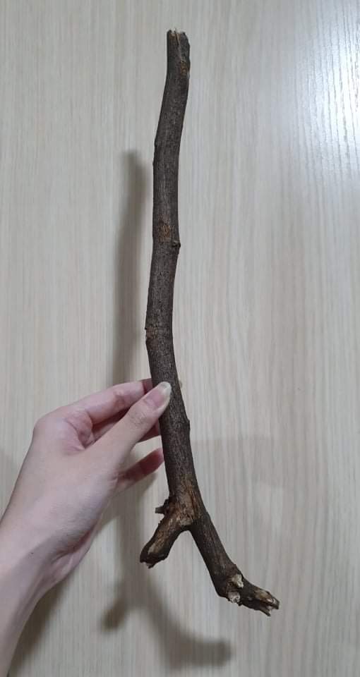 Wooden stick with an interesting shape