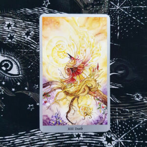 A photo of Death from the Shadowscapes Tarot