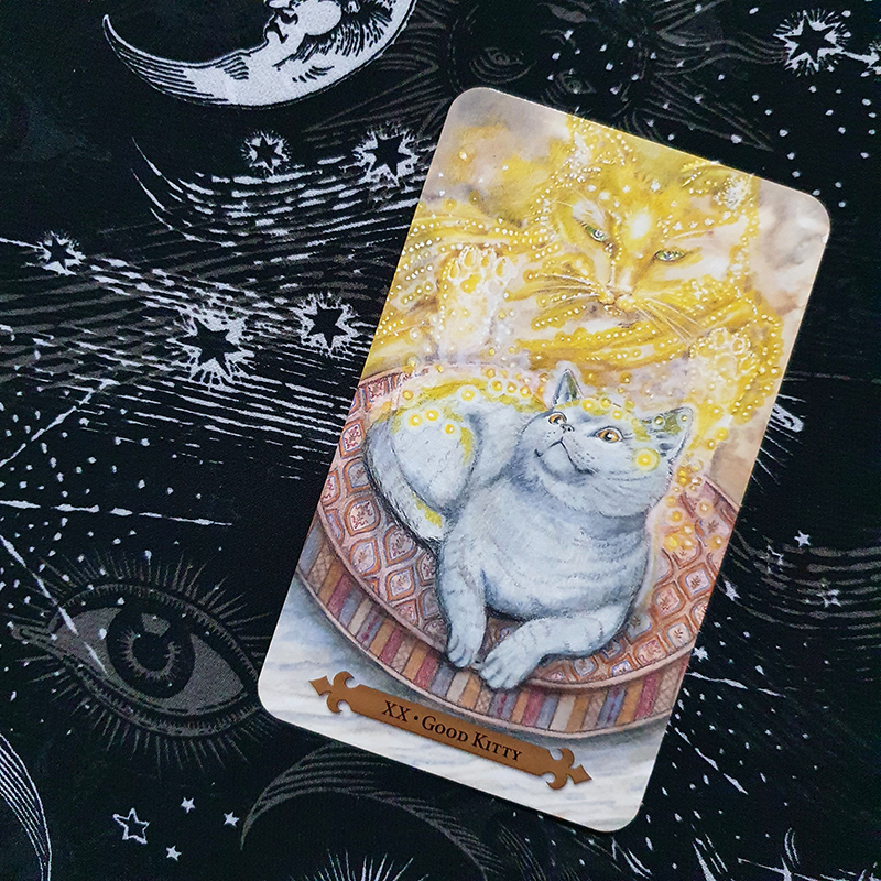 A photo of the Good Kitty card from the Mystical Cats Tarot