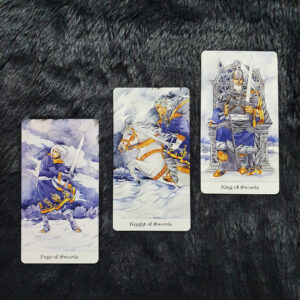 the page of swords, knight of swords, and king of swords from the tarot of the golden wheel by mila losenko