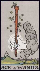 ace of wands from the rider waite smith tarot