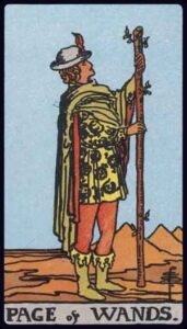 page of wands from the rider waite smith tarot