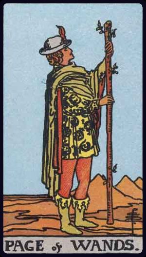 page of wands from the rider waite smith tarot