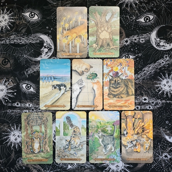 photo of nine life lessons tarot reading by El Tarocchi